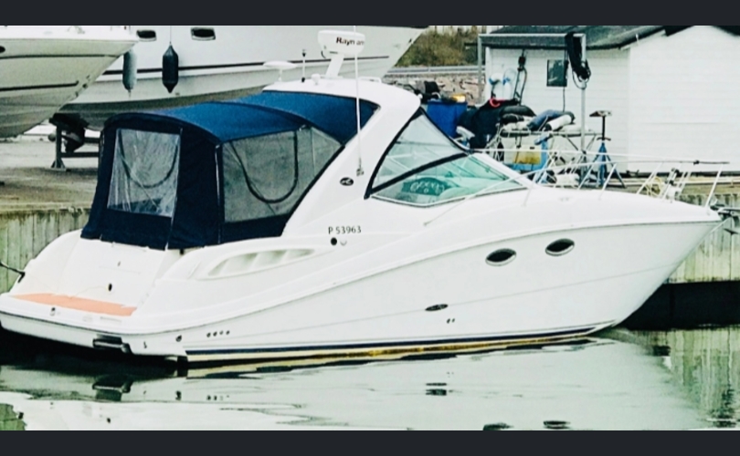 Sea Ray Sundancer-kuva-1